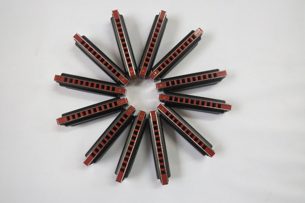 إيست توب هارمونيكا بلوس هارف T - مراجعة Harmonica 10 Hole وسعره